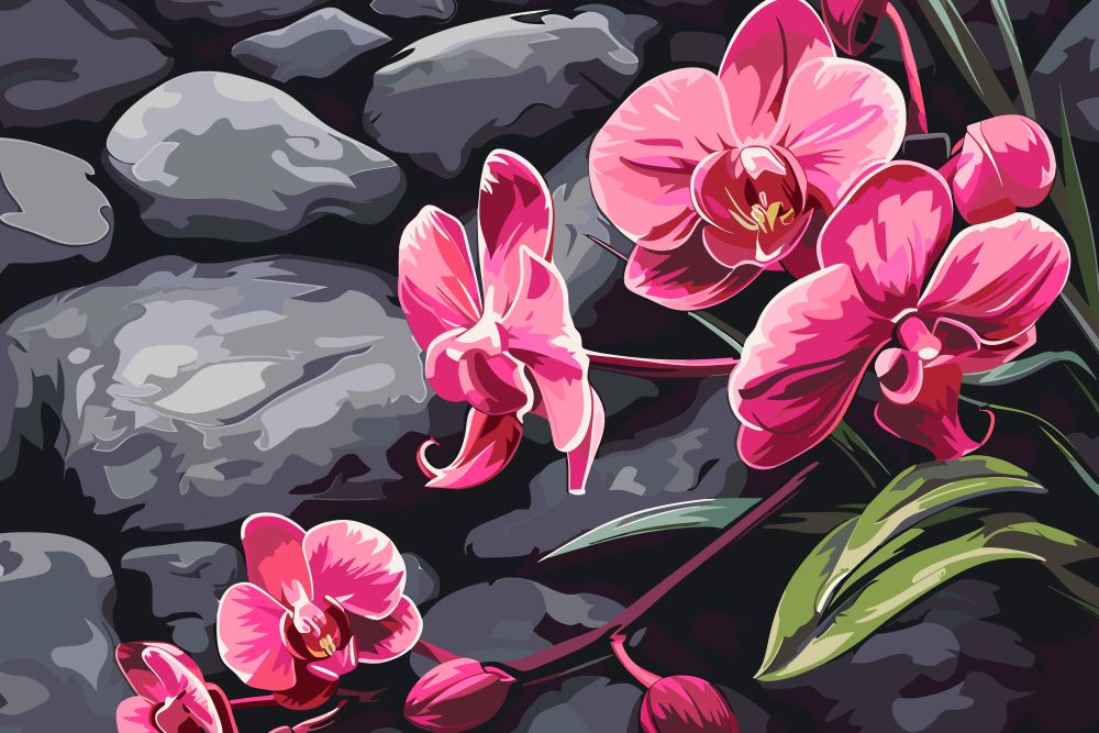 Malen nach Zahlen   Orchidee mit Zen Steinen   Premium Painting