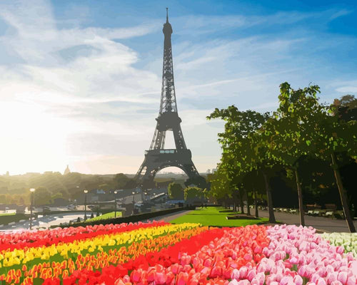 Malen nach Zahlen - Eiffelturm vor Tulpenbeet