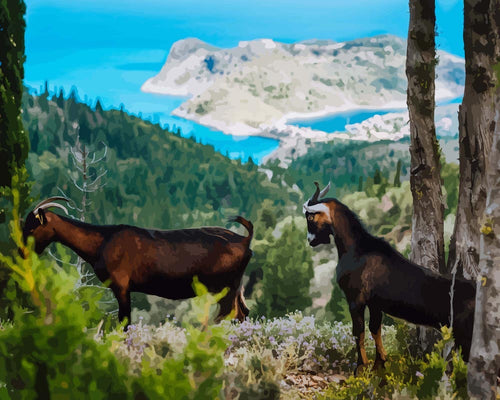 Malen nach Zahlen - Zwei Ziegen - Goats